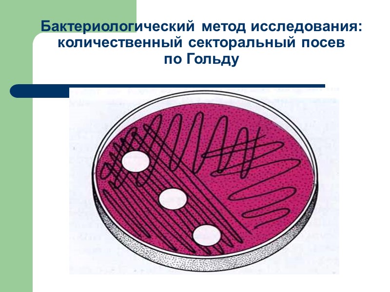 Бактериологический метод исследования: количественный секторальный посев  по Гольду